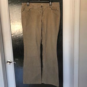 The Loft Corduroy pants